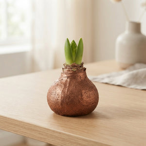 Copper Wax Hippeastrum Christmas Decoration
