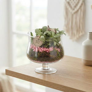 Elise Glass Plant Arrangement on Stand – 18cm