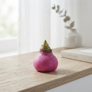 Fuchsia Pink Wax Hyacinth Decoration – 20cm