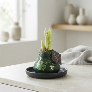 Dark Green Wax Hipp Galaxy Christmas Decoration