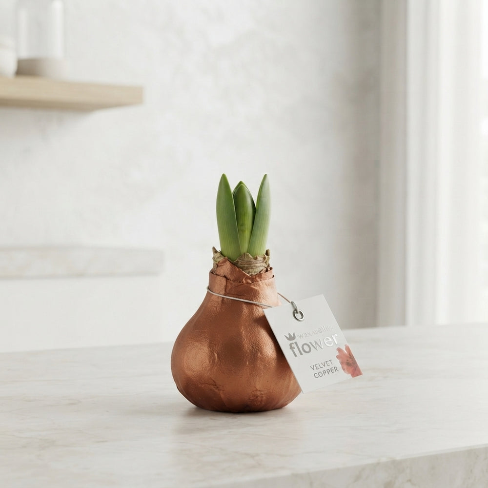 Copper Wax Hipp Velvet Decoration – 32cm