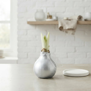 Silver Wax Hipp Velvet Decoration – 32cm