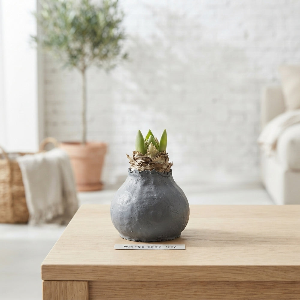 Grey Wax Hipp Topiary Decoration – 20cm