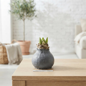 Grey Wax Hipp Topiary Decoration – 20cm