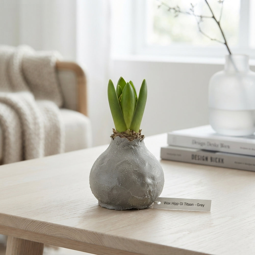 Grey Wax Hipp Gl Titaan Decoration – 20cm