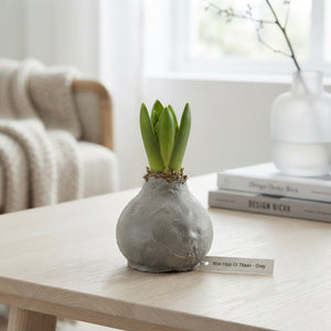 Grey Wax Hipp Gl Titaan Decoration – 20cm