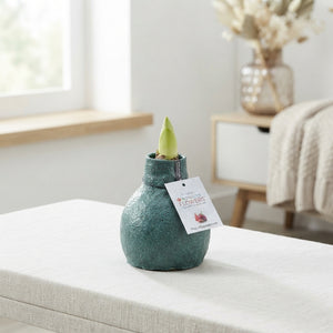 Wax Hipp Cozy Teddy Mix Christmas Decoration