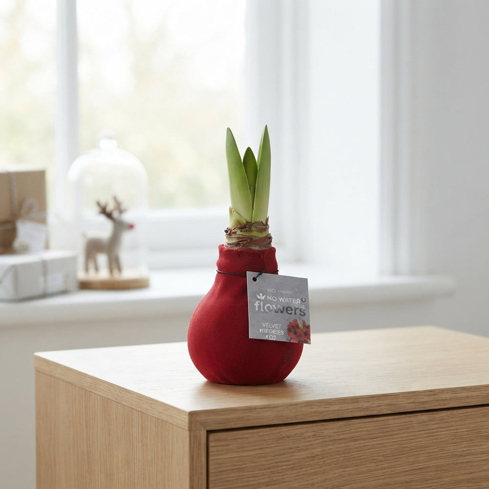 Red Wax Amaryllis Decoration