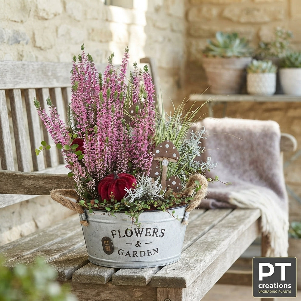 Garden Plant Arrangement in Zinc Pot – 19cm