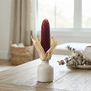 Strawberry Corn Foliage – Zea mays