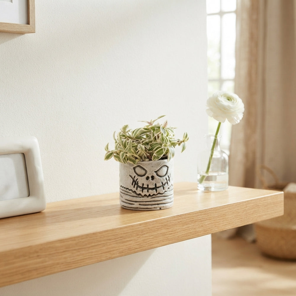 Dried Skull Arrangement – 6cm Pot