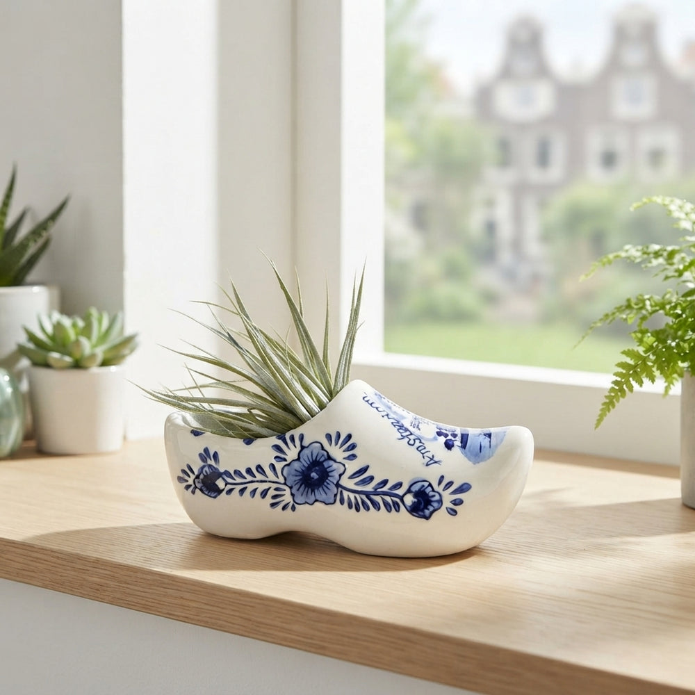 Air Plant Arrangement in Delft Blue Clog – 15cm