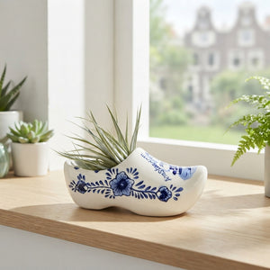 Air Plant Arrangement in Delft Blue Clog – 15cm