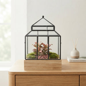 Wardian Case Terrarium – 20cm Glass