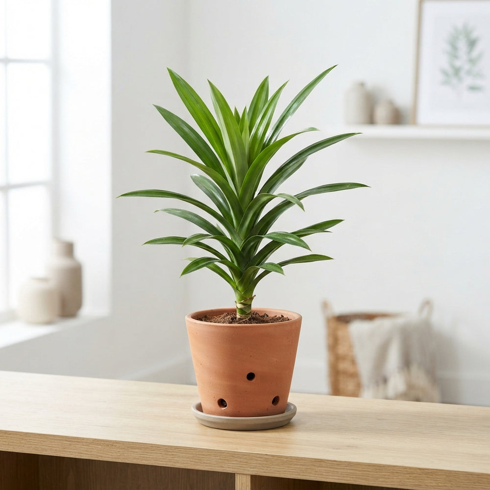 Wax Pandanus Decorative Stem