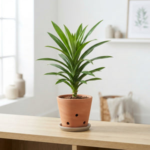 Wax Pandanus Decorative Stem