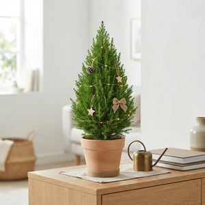Natural Pine Cone Christmas Decoration