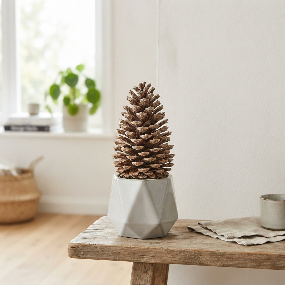 Natural Maritime Pine Cone Decoration – 9cm