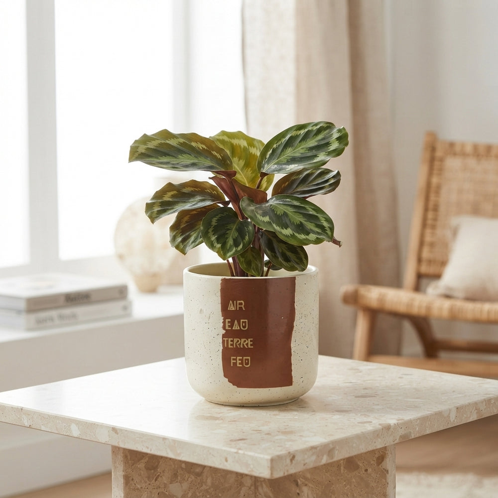 Ceramic Decorative Plant Pot – 14cm