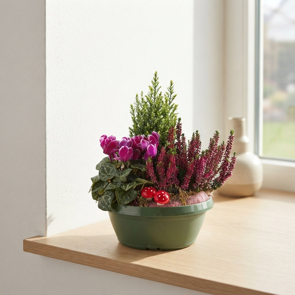 Mixed Green Plant Arrangement – 3 Plants