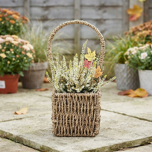 Mixed Colour Seagrass Hanging Basket Arrangement