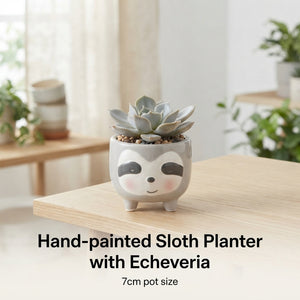 Animal-Shaped Succulent Arrangement – Grey, 7cm Pot