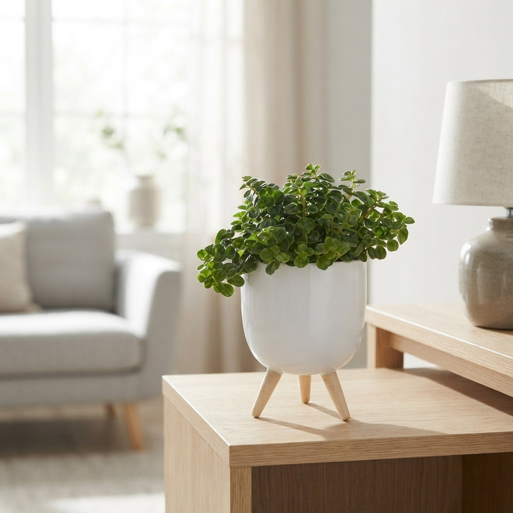 Green Milano Ceramic Three-Legged Plant Decoration