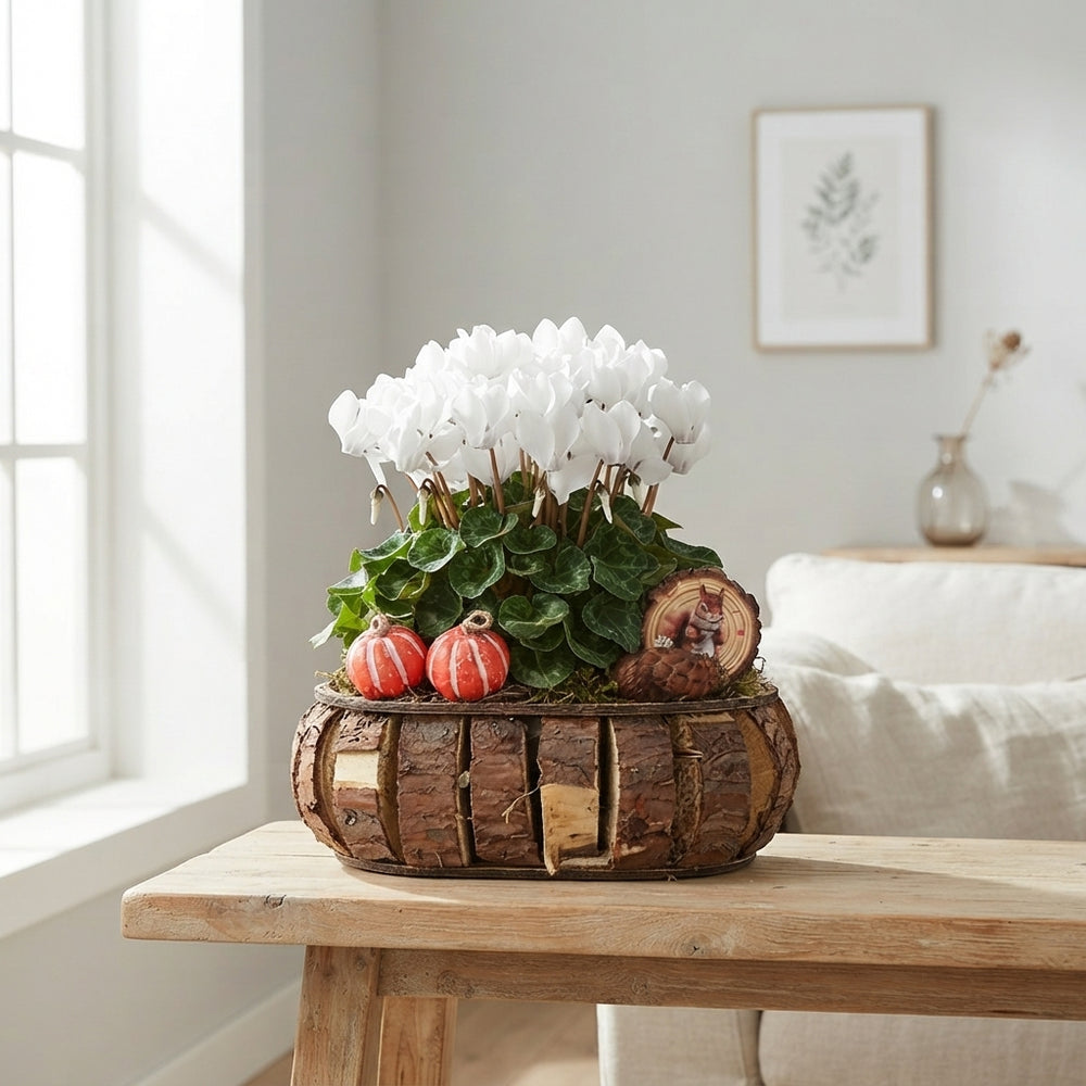 Outdoor Arrangement with Oval Bark Discs – 32cm