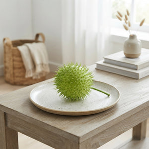 Decorative Green Cucumis Ornamental Fruit