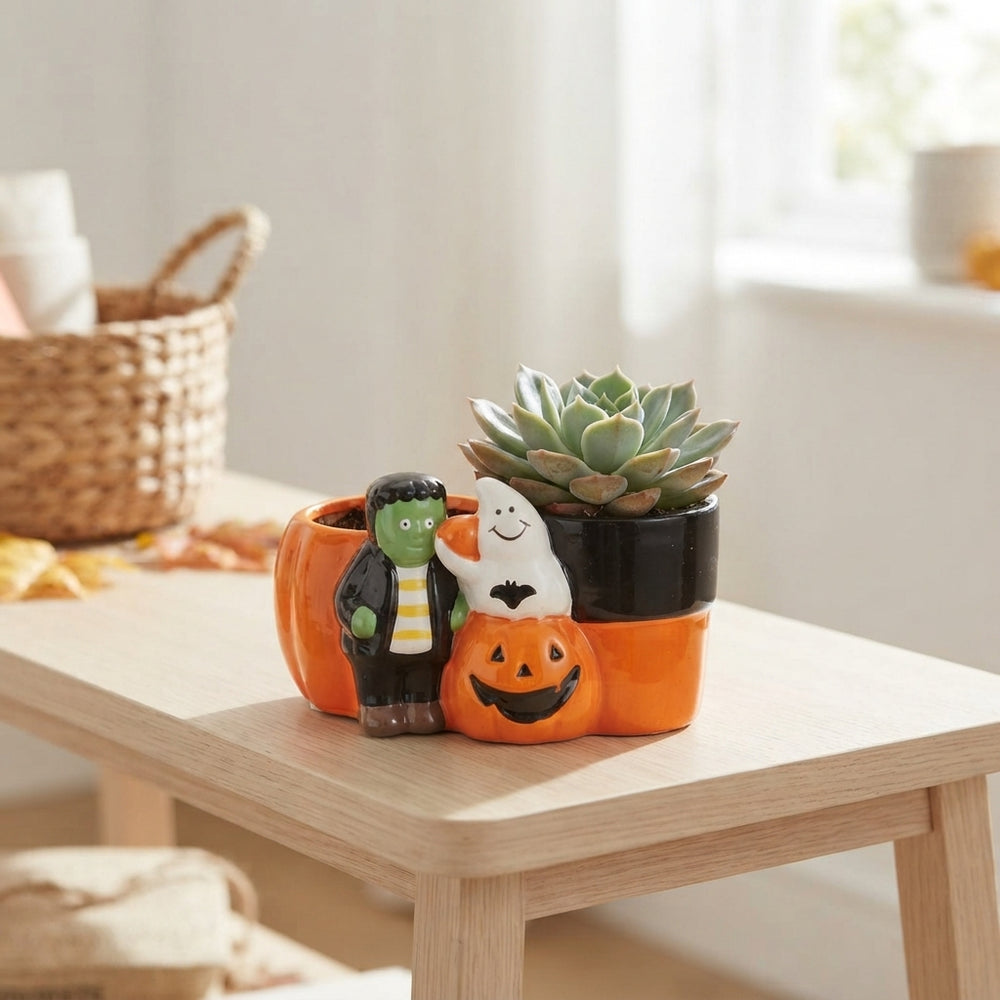 Succulent Arrangement in Ceramic Pot – 12cm