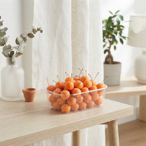 Orange Waxflower Decorative Plant