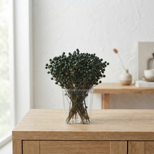 Pale Green Wax Myrtle Decorative Plant