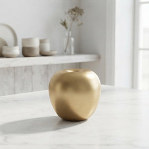 Mixed Wax Apple Decorative Plant