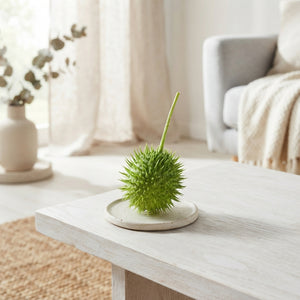 Decorative Green Cucumis Ornamental Fruit