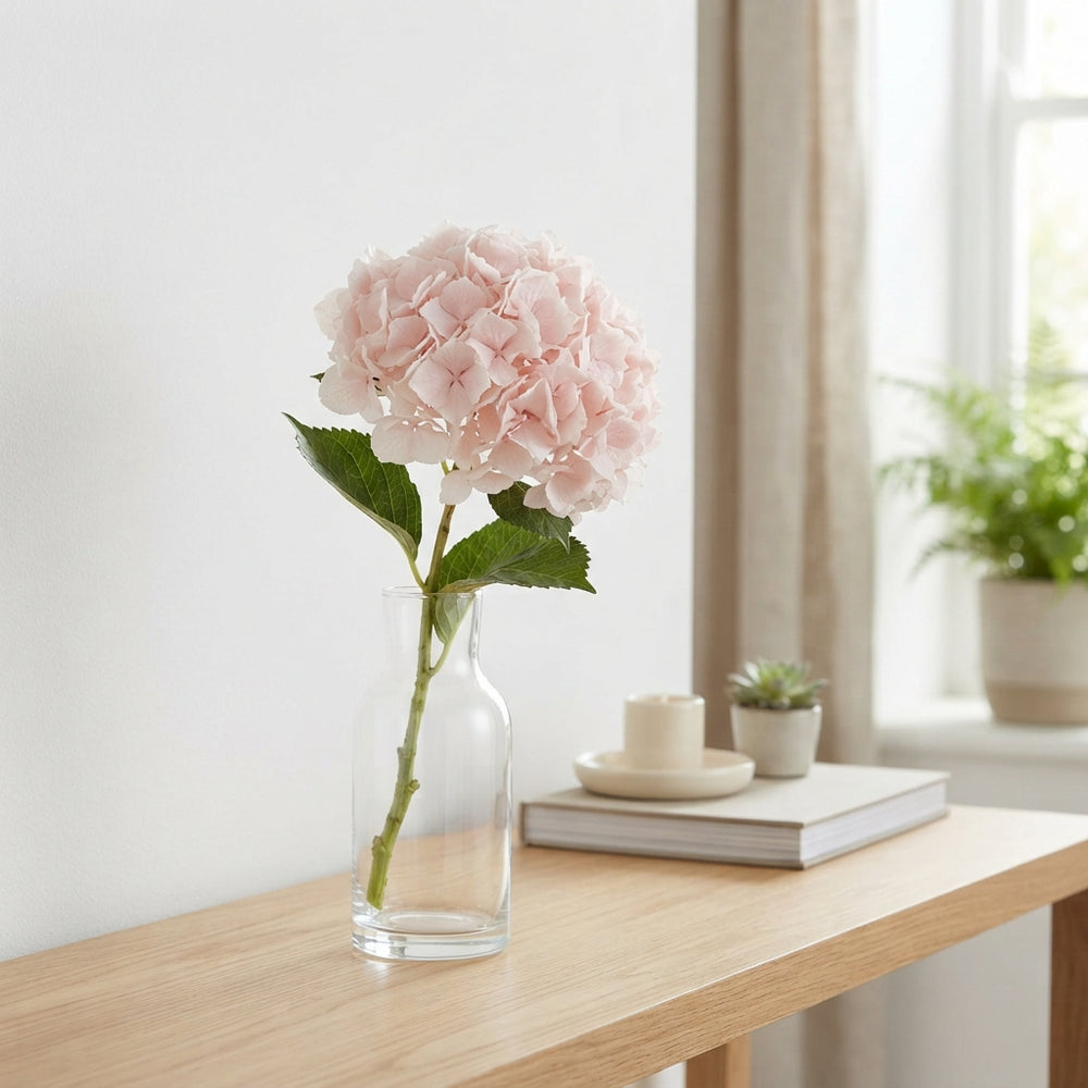 Pale Pink Preserved Hydrangea – Dried Flower