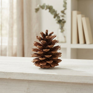 Natural Austrian Pinecone Decoration – 10kg