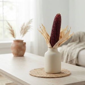 Ornamental Strawberry Corn Stem (Zea mays)