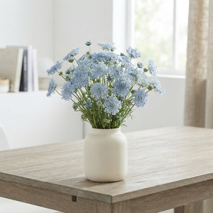 Blue Summer Flower Plant