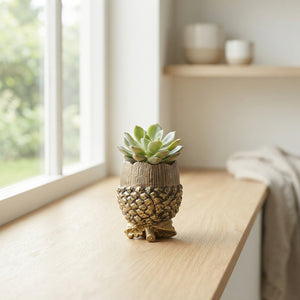 Succulent Arrangement in Ceramic Acorn Pot – 16cm
