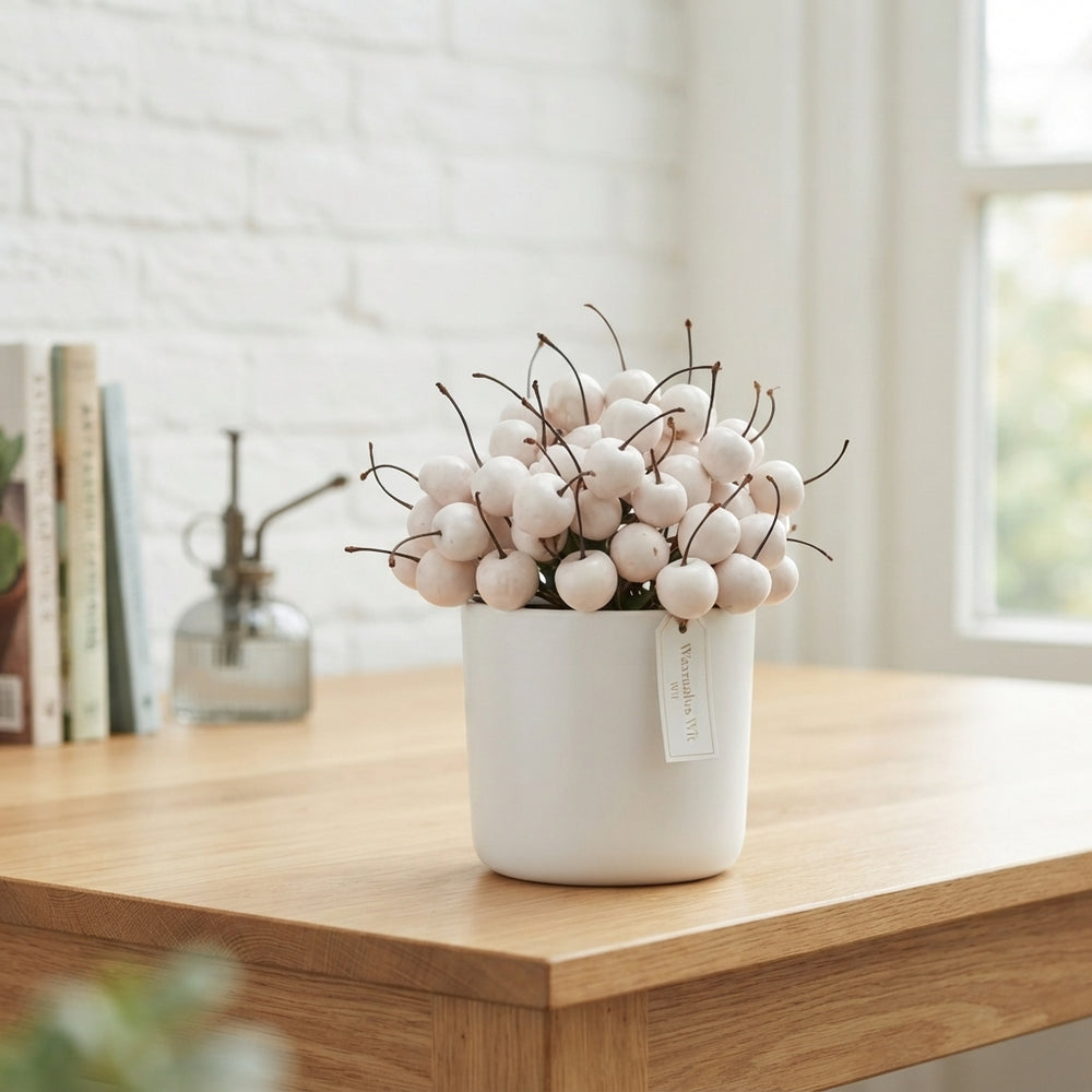 White Waxflower (Waxmalus) – Decorative Stems