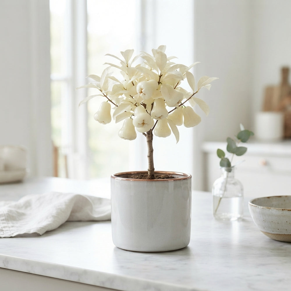 Ivory Wax Apple Decorative Stem