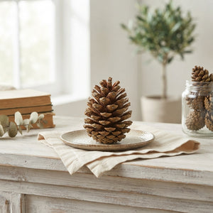 Natural Mini Pine Cone Decorations – Pack of 75