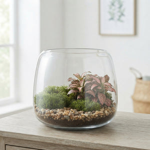Round Indoor Glass Terrarium Arrangement – 19cm