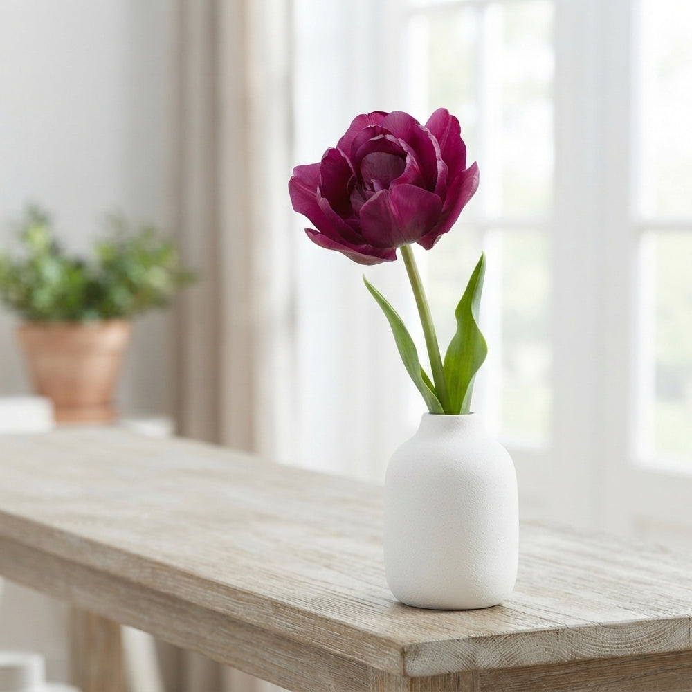 Tulipa Garden Sensation Flower Bulbs – 12cm+