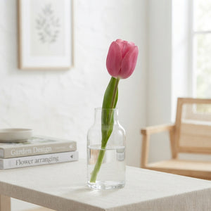 Mixed Single Late Tulip Bulbs (10 Pack)