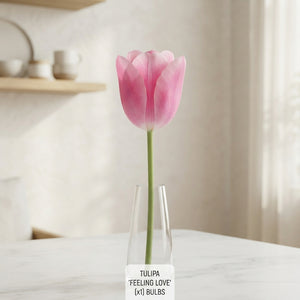 Tulipa ‘Garden Feeling Love’ Flower Bulbs – 12/+