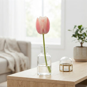 Apricot Delight Tulip Bulbs (Tulipa) – 12/+