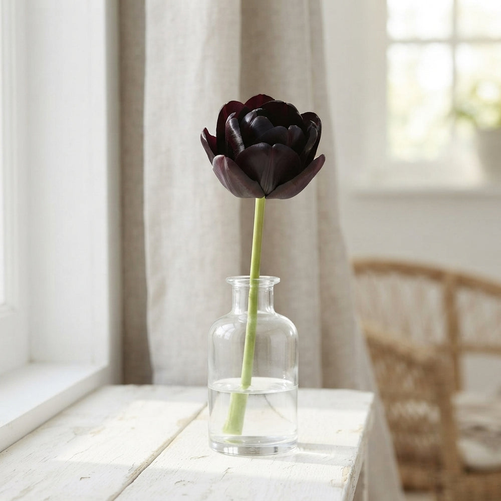 Tulipa ‘Garden Charming’ Tulip Bulbs – Size 12/+