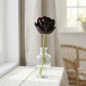 Tulipa ‘Garden Charming’ Tulip Bulbs – Size 12/+