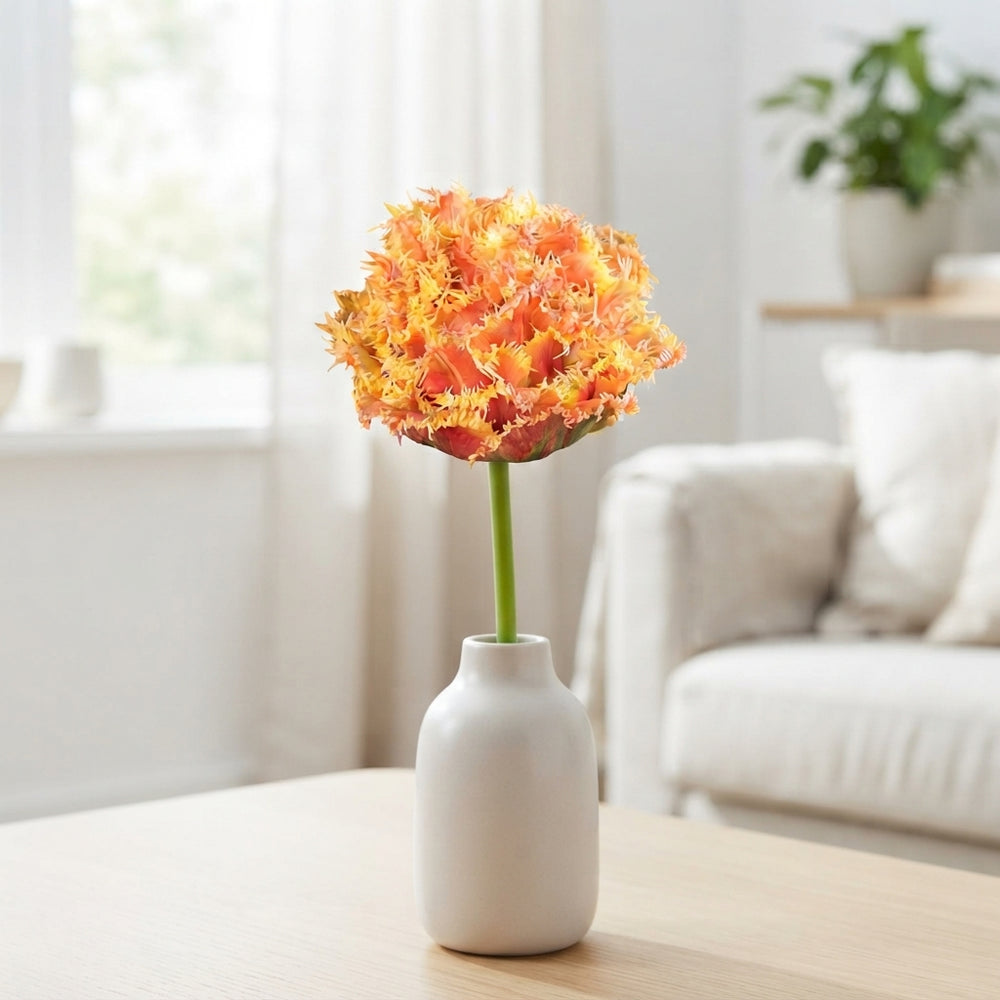 Tulip ‘Brisbane’ Fringed Double Flower Bulbs – 7 Bulbs